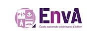 logo enva